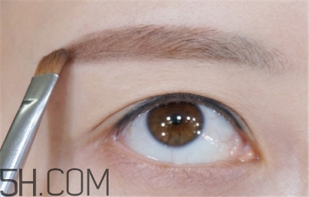 ��ü�̳�ͼ�� ��üë�ļ���ͼ��һ��ü